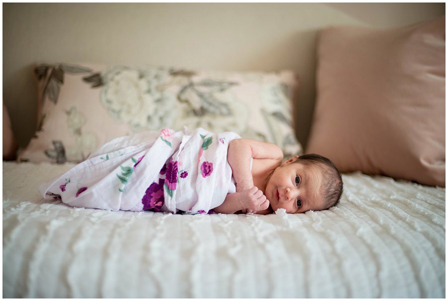 Newborn lying on sofa daybed swaddled by a purple floral blanket 