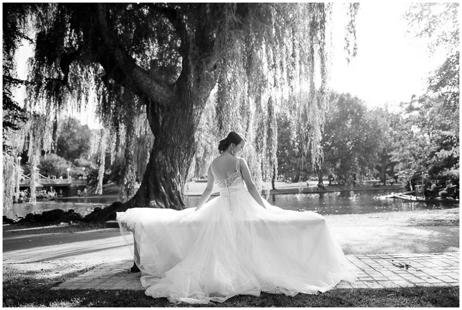 Bride black and white portrait during the afternoon in the summer at Boston Public Gardens by a tree