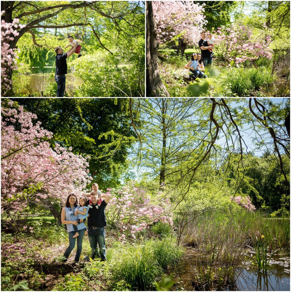 Arnold Arboretum Family session