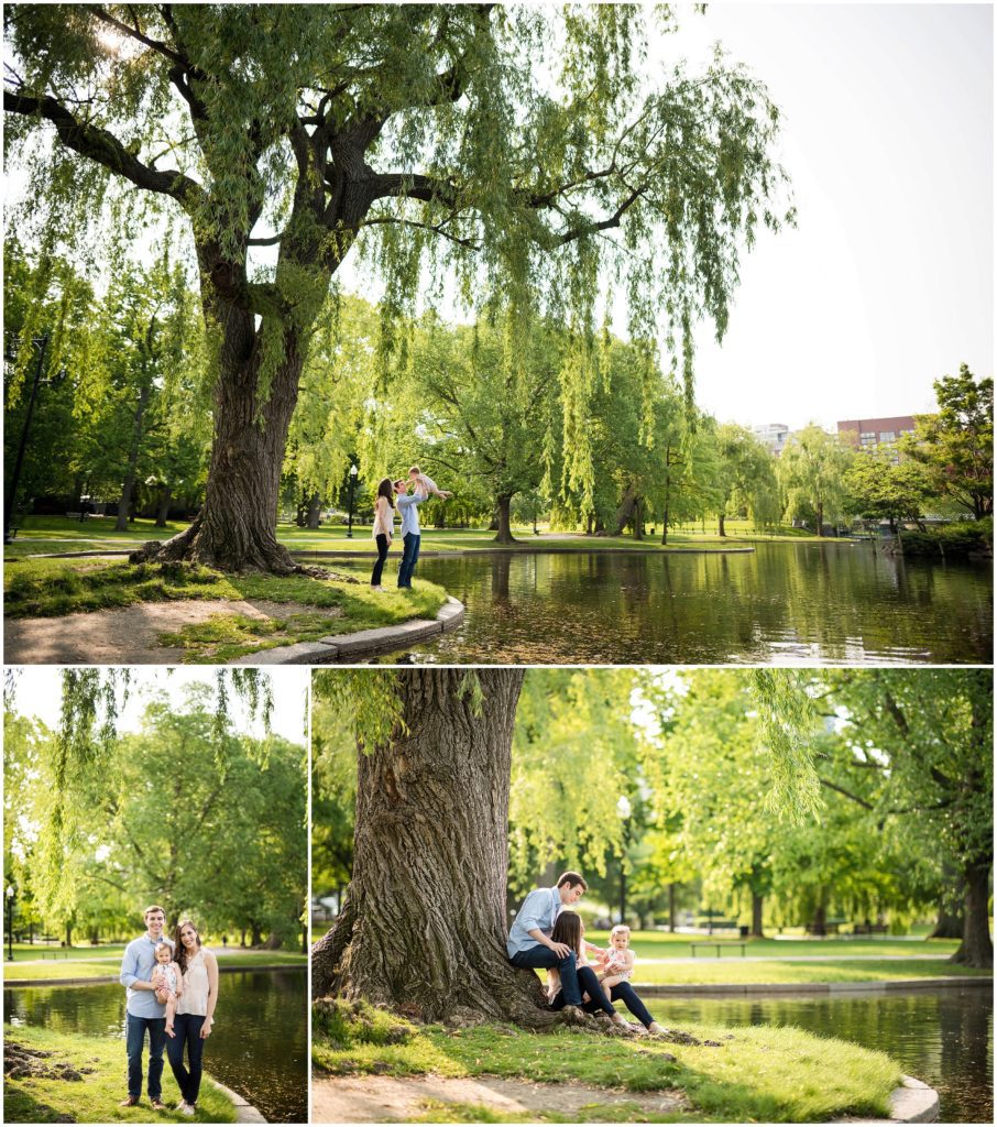 Boston public gardens family photos by the willows