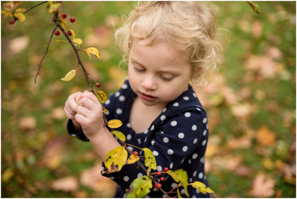 Child looking at branch Boston family photographer Fall foliage Larz Anderson