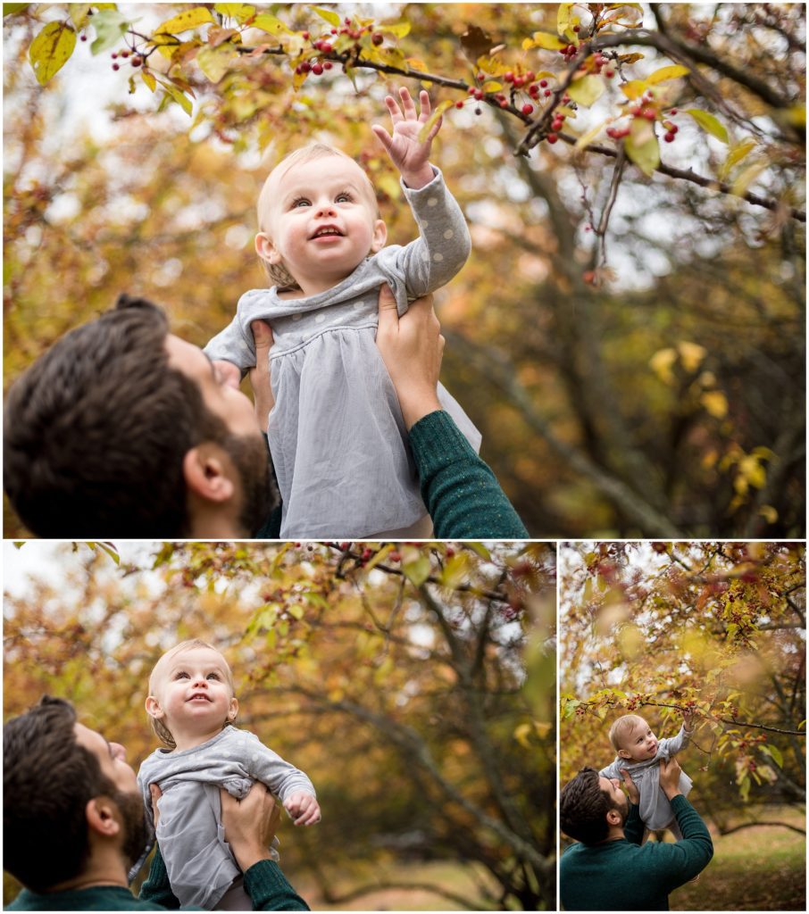 Baby reaching for leaves Boston family photographer Fall foliage Larz Anderson