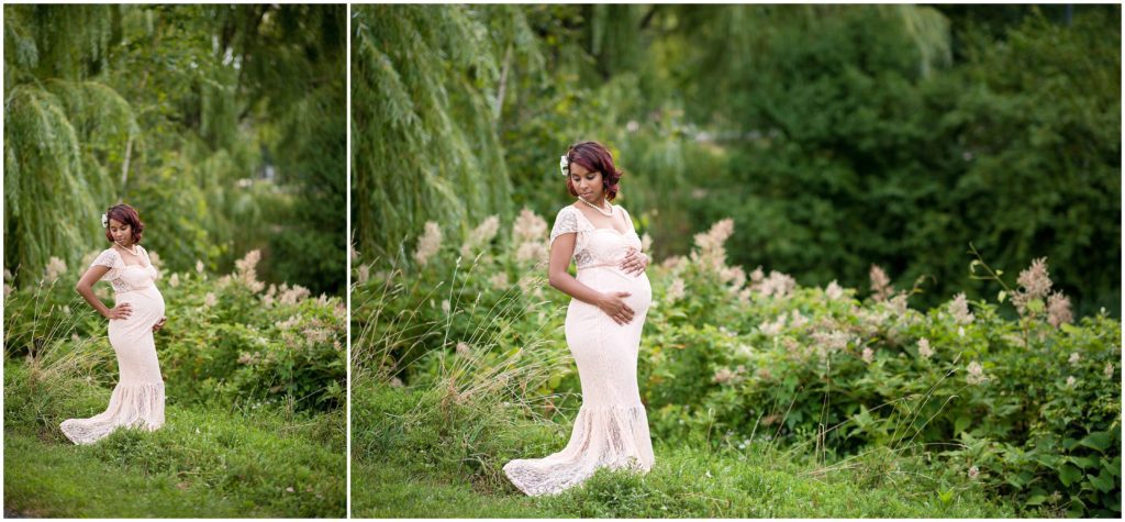 Trees in North Point Park in the Summer | suggested Locations for photoshoots