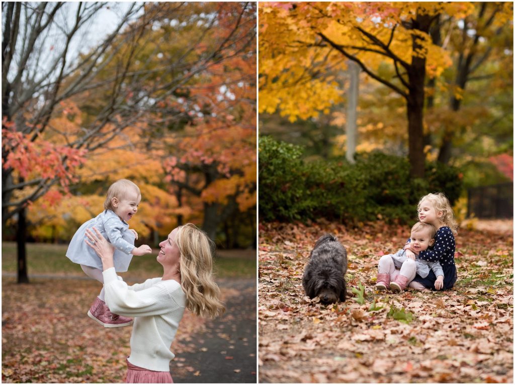 dog comes into sibling photo Boston family photographer Fall foliage Larz Anderson
