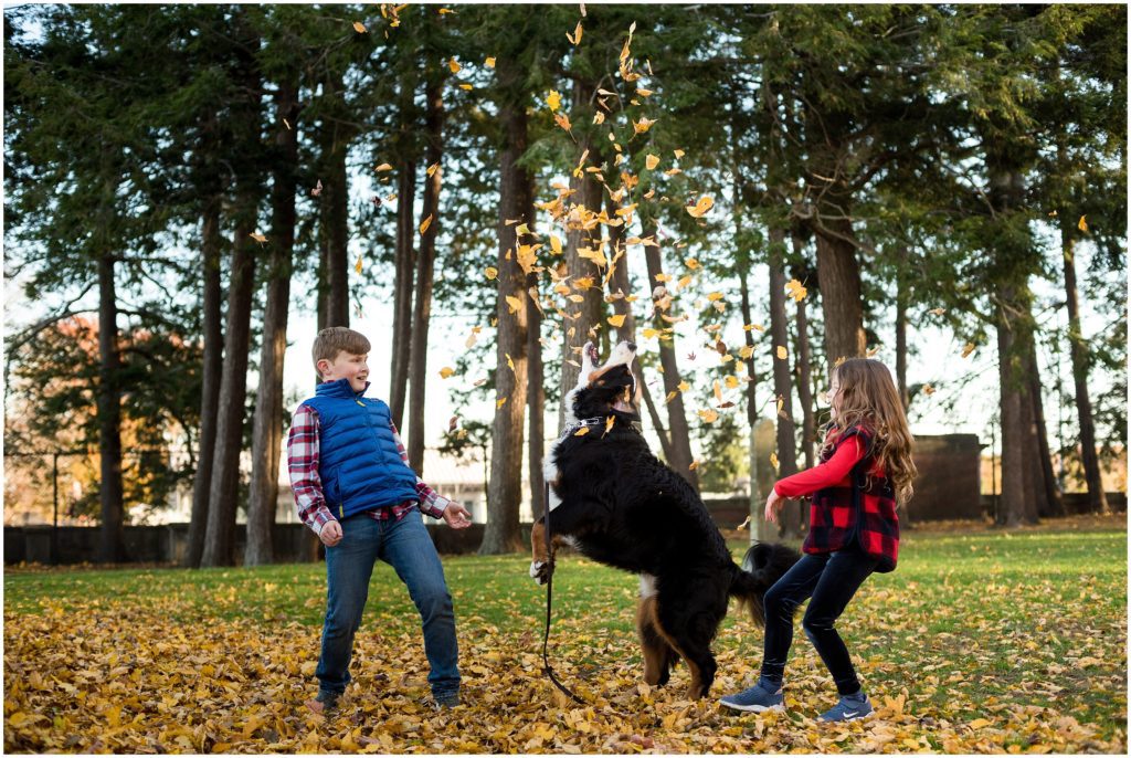 Dog catching leaves with brother and sister in Brookline Park