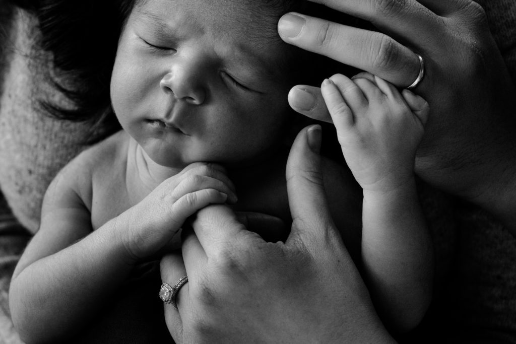 Newborn hands with parent in black and white
