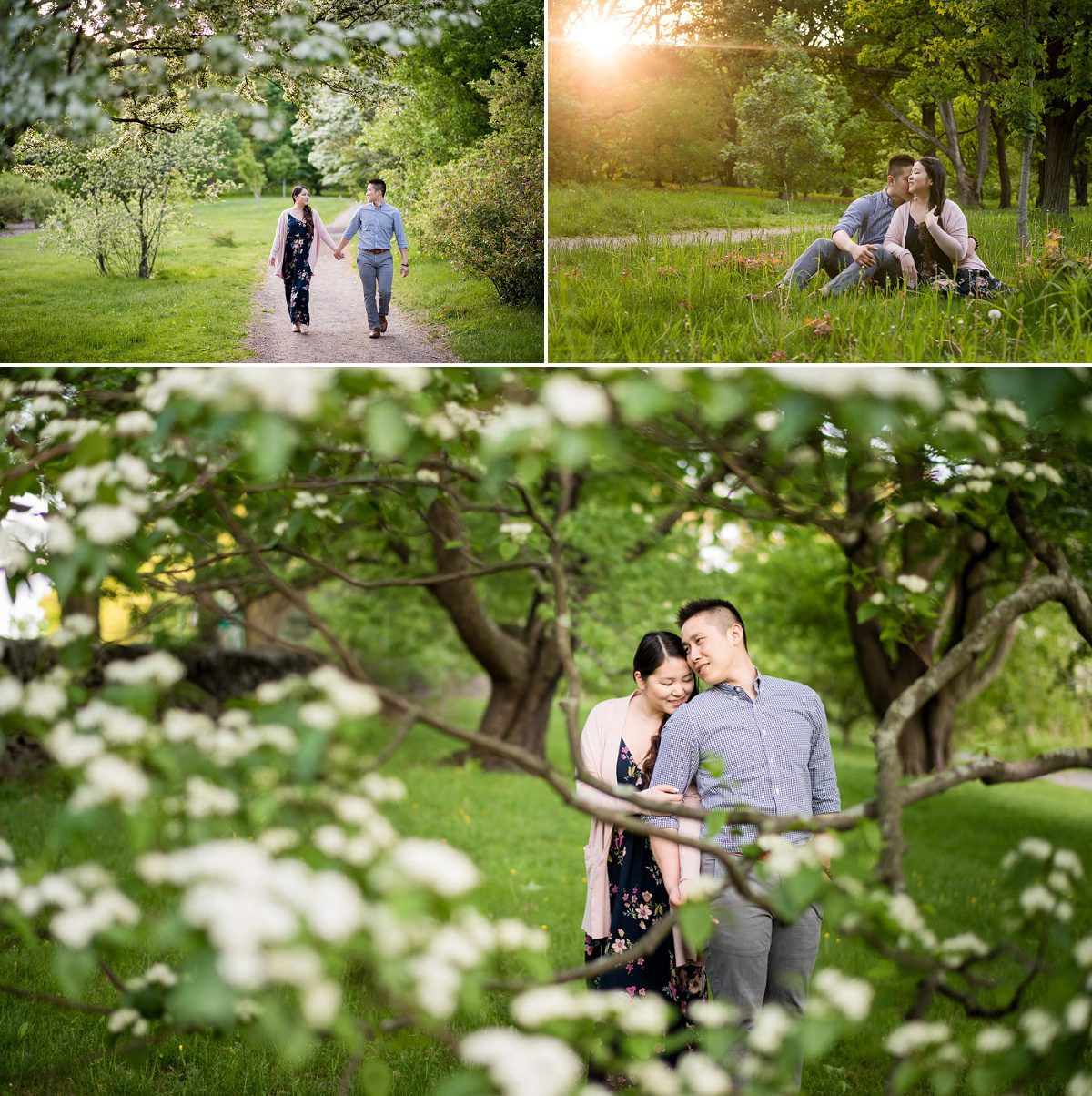 Arnold Arboretum engagement photography Session