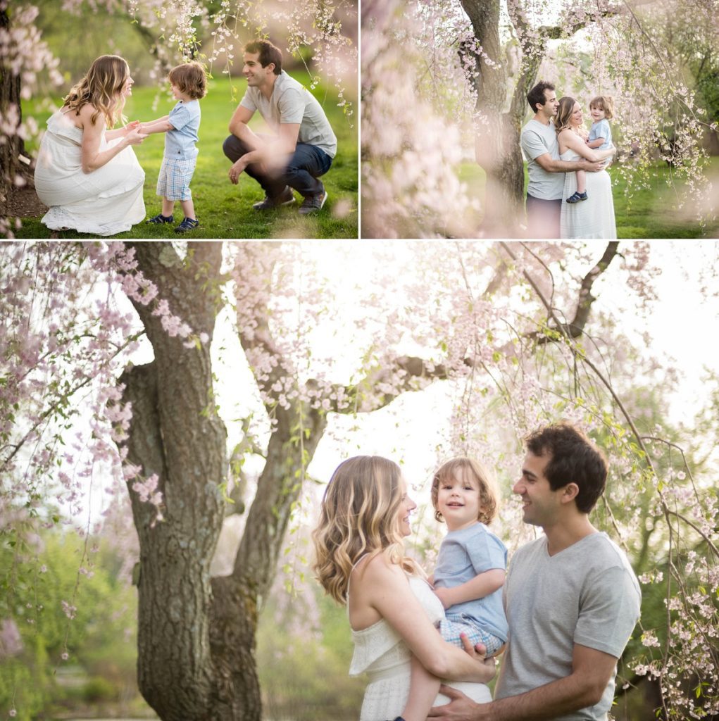 Arnold Arboretum Family photography Session