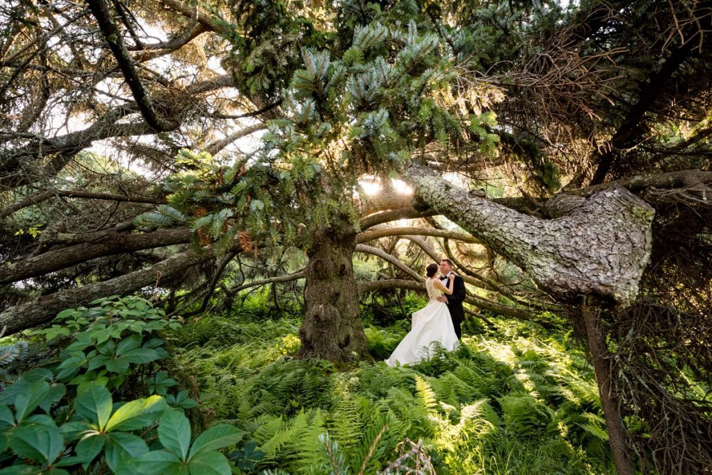 Tree photo at The Estate at Moraine Farm wedding reception