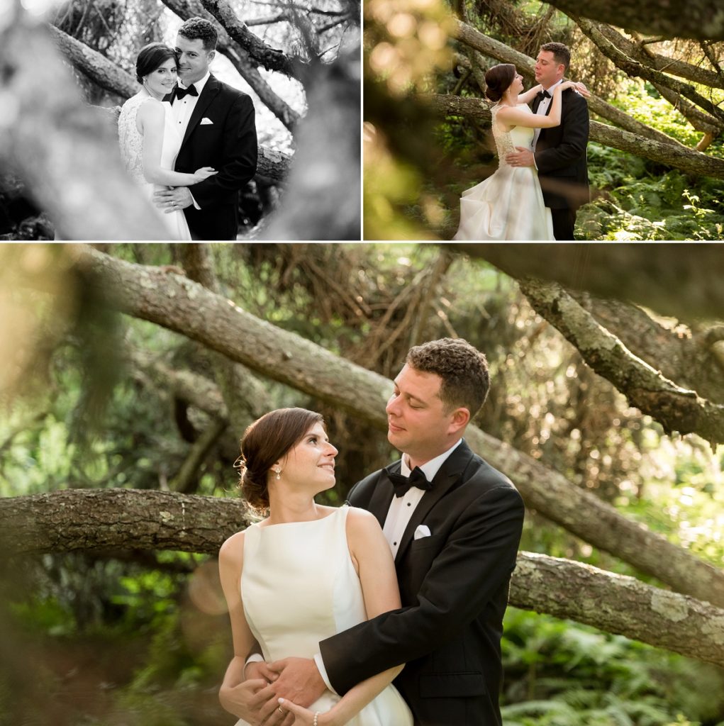 Tree photo at The Estate at Moraine Farm Wedding