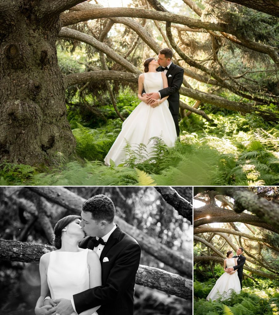 Tree photo at The Estate at Moraine Farm Wedding