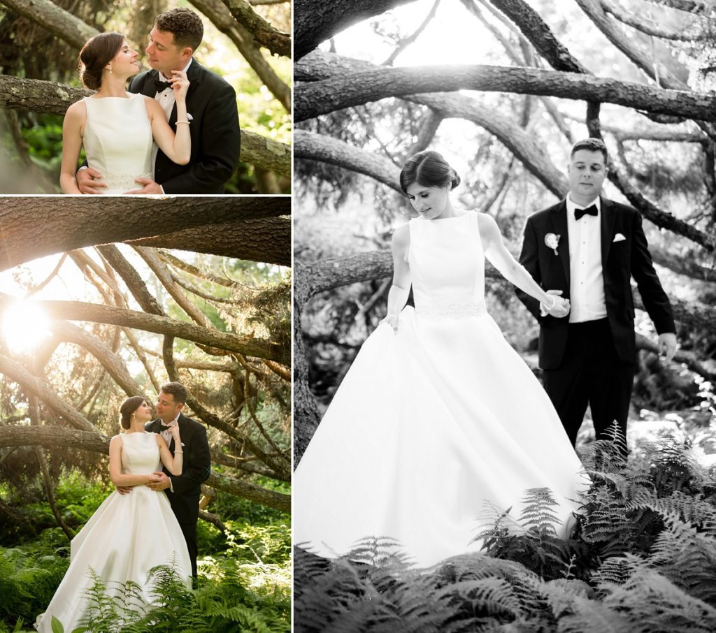 Tree photo at Moraine Farm Wedding