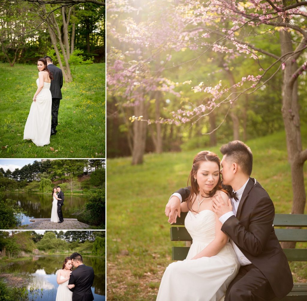 Arnold Arboretum engagement photography Session