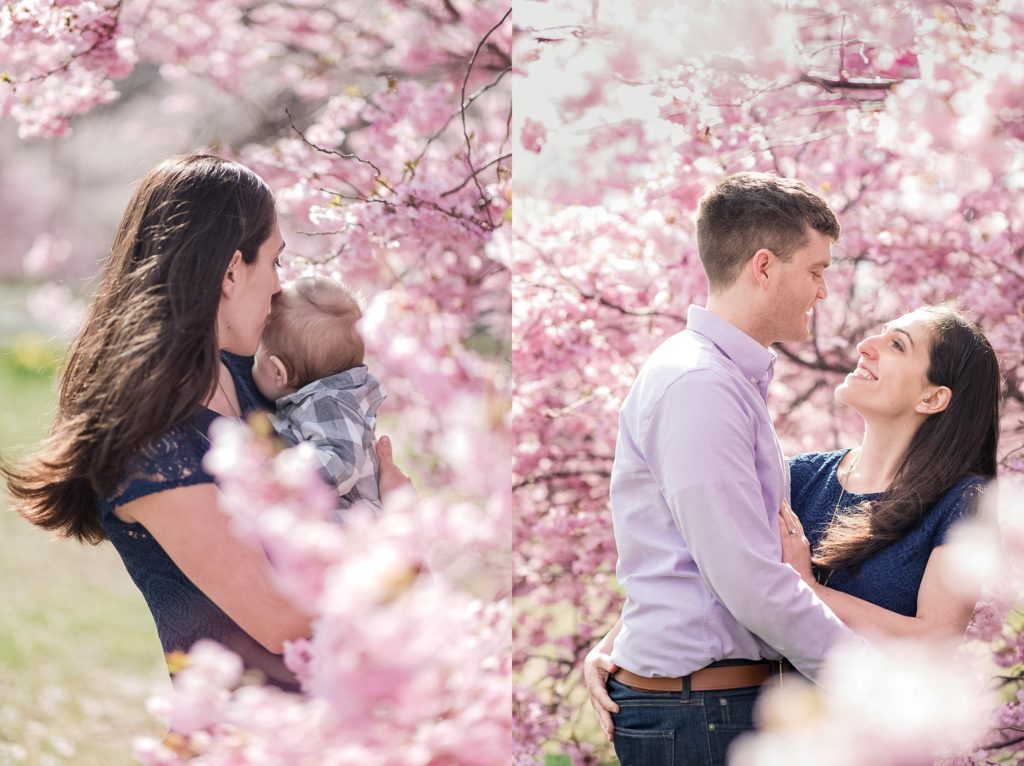 cherry blossoms bloom during spring along the Charles River in Boston. Spring outdoor photo session