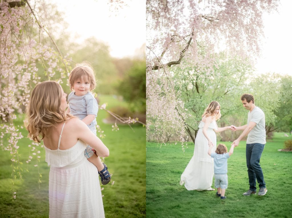Arnold arboretum maternity outdoor spring photo session during blossoms in Boston