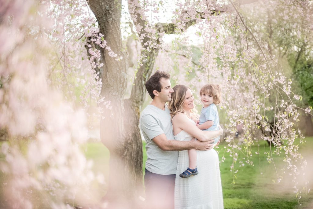 Boston cherry blossom tree photo shoot