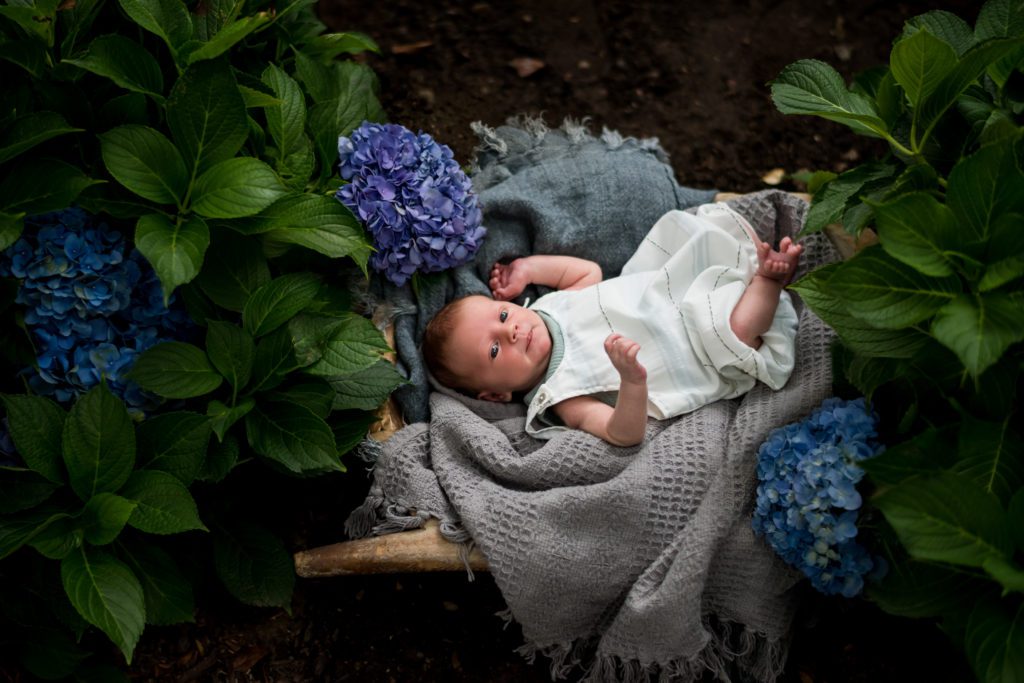 Heirloom basket for a newborn session. Things to consider when Preparing for a photo session