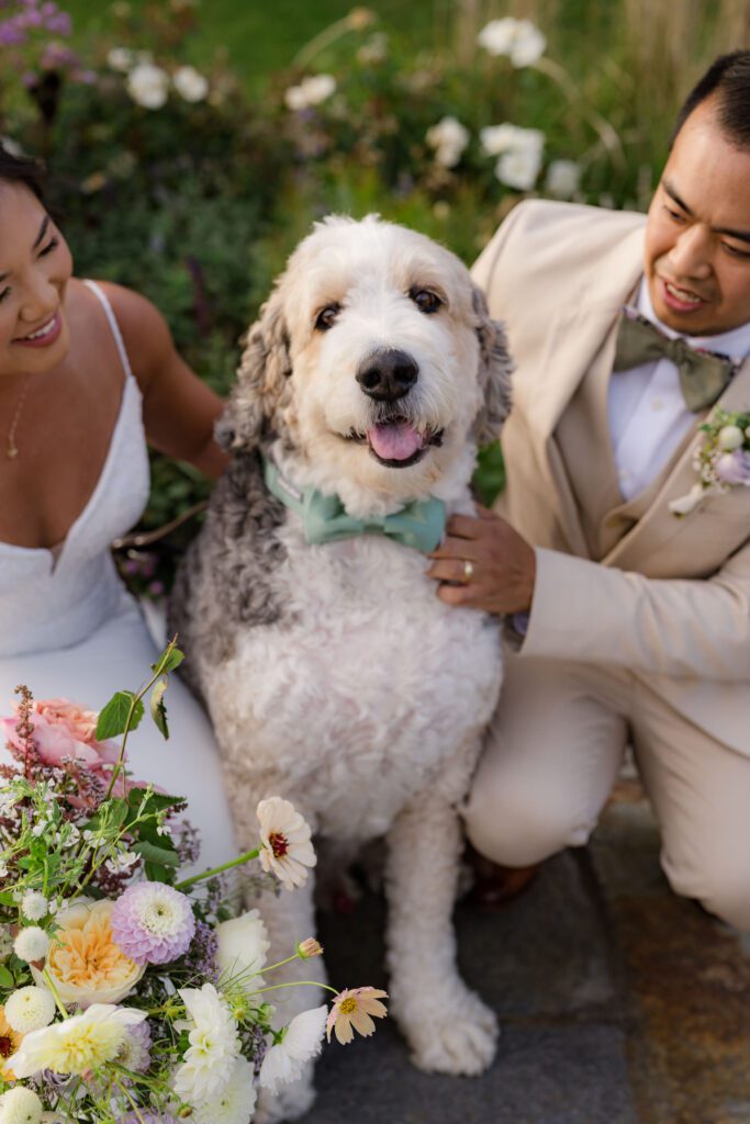 dog as wedding helper at The Lakehouse in Halifax, MA wedding venue