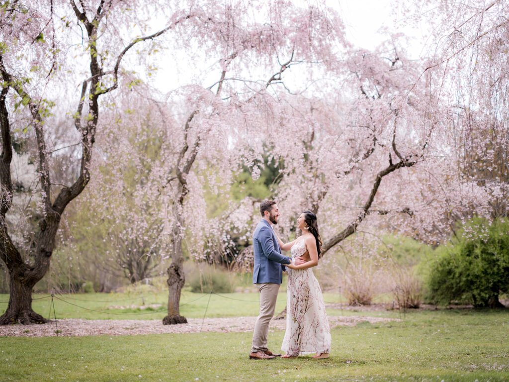 Arnold Arboretum Engagement Photos in the spring
